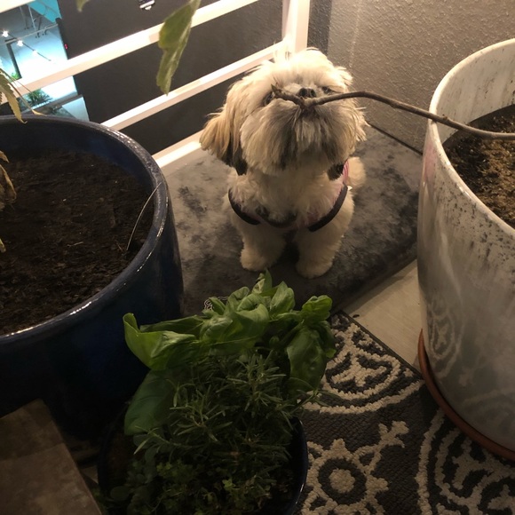 HUGE SALE IN PROGRESS.... 🤍🤍 - Picture 3 of 8